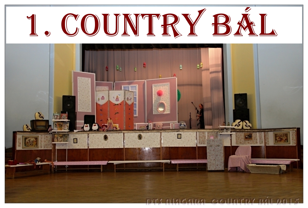 2015-niagara-country-bal-002